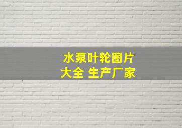 水泵叶轮图片大全 生产厂家